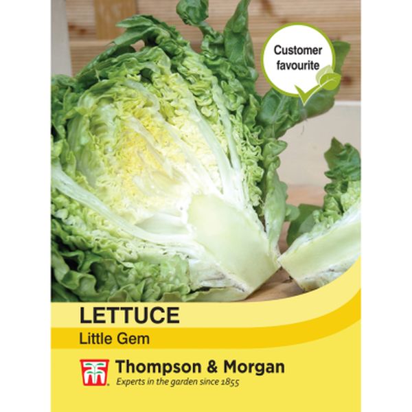 T&M Lettuce Little Gem